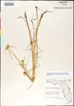 000011779-thumbnail.jpg