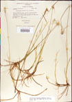 000011780-thumbnail.jpg