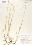 000011781-thumbnail.jpg