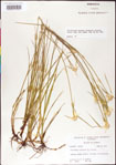 000011782-thumbnail.jpg