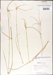 000011783-thumbnail.jpg