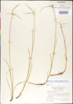 000011784-thumbnail.jpg