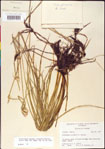 000011785-thumbnail.jpg