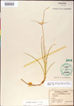 000011787-thumbnail.jpg
