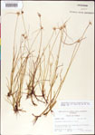000011788-thumbnail.jpg