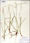 000011789-thumbnail.jpg