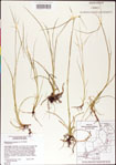 000011792-thumbnail.jpg