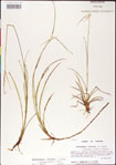 000011793-thumbnail.jpg