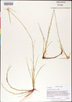 000011794-thumbnail.jpg