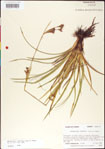 000011795-thumbnail.jpg