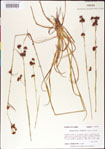 000011796-thumbnail.jpg