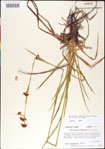 000011797-thumbnail.jpg