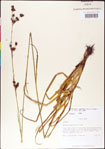 000011798-thumbnail.jpg
