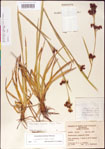 000011799-thumbnail.jpg