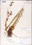 000011800-thumbnail.jpg