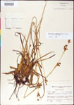 000011801-thumbnail.jpg