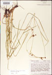 000011802-thumbnail.jpg
