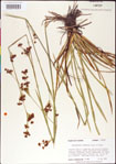 000011803-thumbnail.jpg