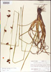 000011805-thumbnail.jpg