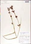 000011806-thumbnail.jpg
