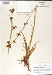 000011807-thumbnail.jpg