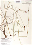 000011815-thumbnail.jpg