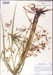 000011824-thumbnail.jpg