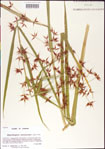 000011825-thumbnail.jpg