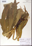 000012021-thumbnail.jpg