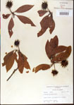 000012038-thumbnail.jpg