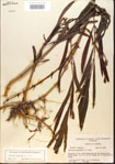 000012296-thumbnail.jpg