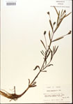 000012297-thumbnail.jpg