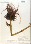 000012299-thumbnail.jpg