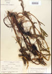 000012300-thumbnail.jpg