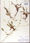 000013503-thumbnail.jpg
