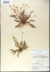 000013510-thumbnail.jpg