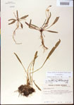 000013514-thumbnail.jpg