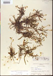 000013518-thumbnail.jpg