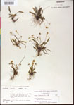 000013526-thumbnail.jpg