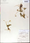 000013536-thumbnail.jpg