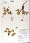 000013543-thumbnail.jpg