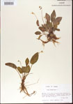 000013561-thumbnail.jpg