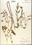 000013631-thumbnail.jpg