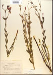 000013633-thumbnail.jpg