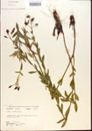 000013634-thumbnail.jpg