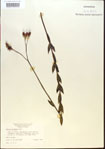 000013635-thumbnail.jpg
