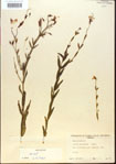000013637-thumbnail.jpg