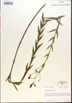000013639-thumbnail.jpg