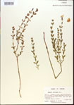 000013640-thumbnail.jpg