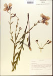 000013641-thumbnail.jpg